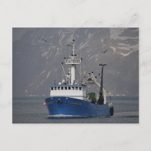 Carte Postale Bald Eagles Accueillir Starward Home (Devant)