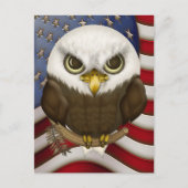 Carte Postale Baldwin Le mignon Aigle Bald (Devant)