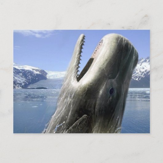 Carte Postale Baleine (Devant)