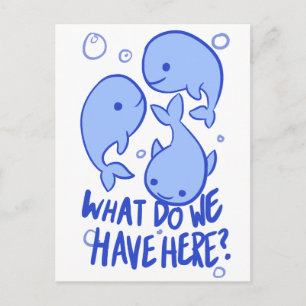 Carte Postale Baleine À Baleine Qu'avons-nous ici