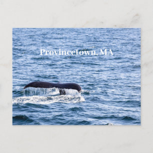 Carte postale baleine à bosse
