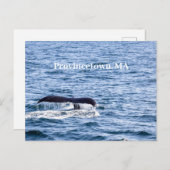 Carte postale baleine à bosse (Devant / Derrière)