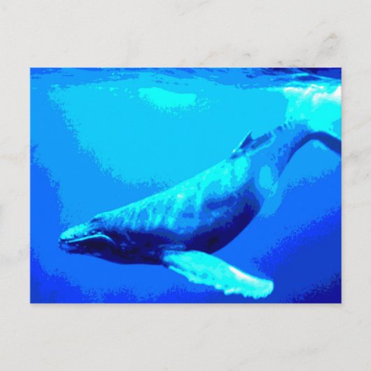 Carte Postale Baleine à bosse (Devant)
