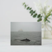 Carte postale Baleine à bosse et grand navire (Debout devant)