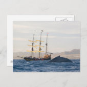 Carte Postale Baleine à bosse et navire (Devant / Derrière)
