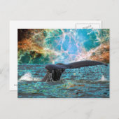 Carte Postale Baleine à bosse et Supernova (Devant / Derrière)