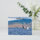 Carte Postale Baleine à bosse faisant une cabriole à Lahaina Haw (Debout devant)