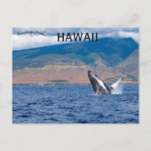 Carte Postale Baleine à bosse faisant une cabriole à Lahaina Haw (Devant)