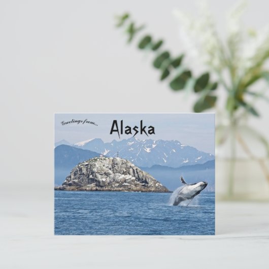 Carte Postale Baleine à bosse Parc national Kenai Fjords Alaska (Debout devant)