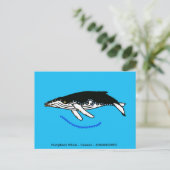 Carte Postale Baleine à bosses - Faune - Nature - (Debout devant)