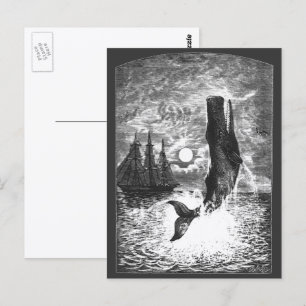 Carte Postale Baleine à tête carrée faisant une cabriole, Animau