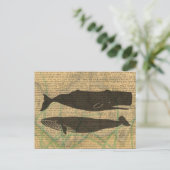 Carte Postale Baleine antique Vie marine (Debout devant)