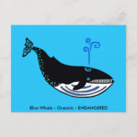 BALEINE Bleue - Conservation - Écologie - Nature