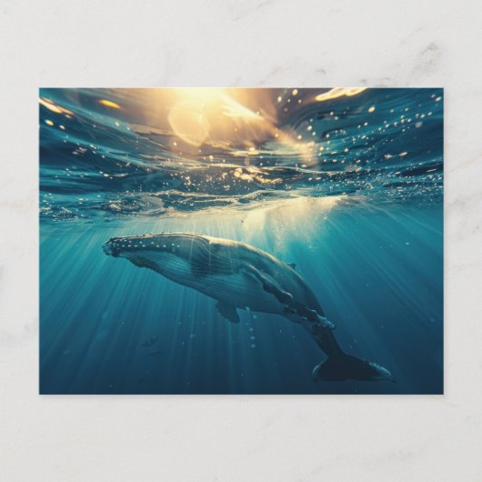 Carte Postale Baleine bleue sous l'eau (Devant)