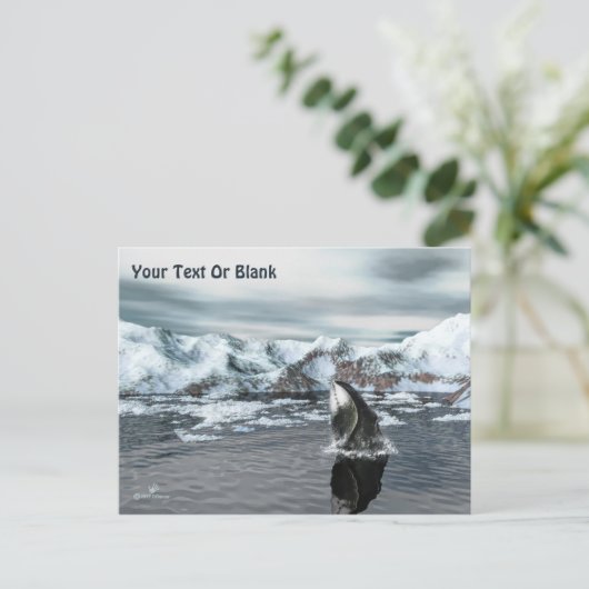 Carte Postale Baleine boréale (Debout devant)