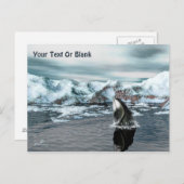 Carte Postale Baleine boréale (Devant / Derrière)