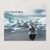 Carte Postale Baleine boréale (Devant)