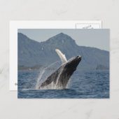 Carte Postale baleine brasseuse (Devant / Derrière)