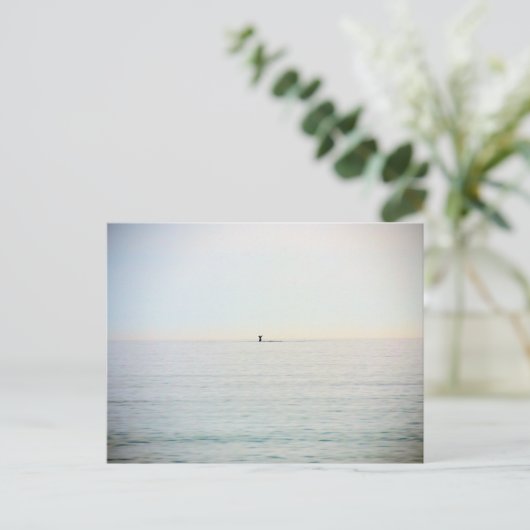 Carte Postale Baleine de plongée (Debout devant)