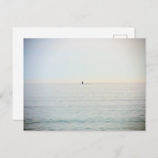 Carte Postale Baleine de plongée (Devant / Derrière)