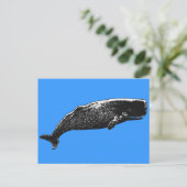 Carte Postale Baleine de Sperm (Debout devant)