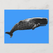 Carte Postale Baleine de Sperm (Devant)