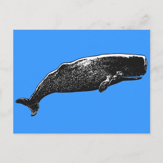 Carte Postale Baleine de Sperm (Devant)