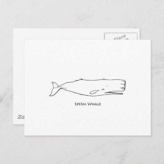 Carte Postale Baleine de Sperm (art linéaire) (Devant / Derrière)