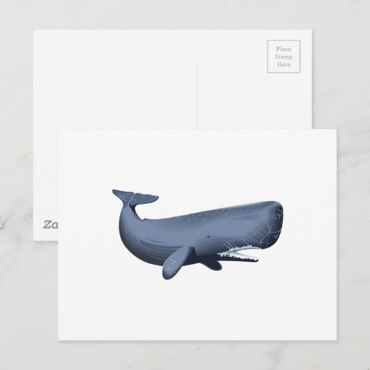 CARTE POSTALE BALEINE DE SPERME (Devant / Derrière)