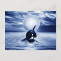 Baleine et lune en 2012