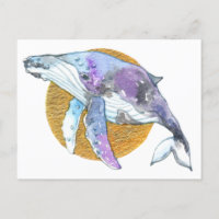 Baleine Fly