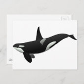 Carte Postale Baleine noire et blanche tueuse à Orca (Devant / Derrière)