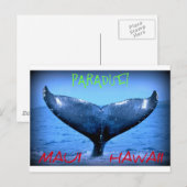 CARTE POSTALE BALEINE TAIL MAUI PARADISE HAWAII (Devant / Derrière)