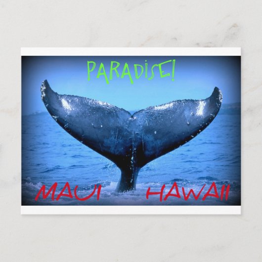CARTE POSTALE BALEINE TAIL MAUI PARADISE HAWAII (Devant)