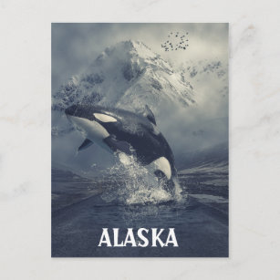 Carte Postale Baleine tueuse des montagnes de l'Alaska Orca