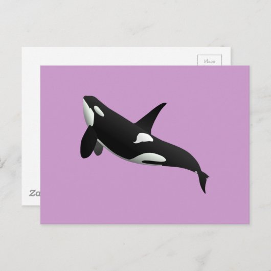 Carte Postale Baleine tueuse, Orcinus Orca (Devant / Derrière)