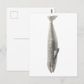 CARTE POSTALE "BALEINE" VIE MARINE (Devant / Derrière)