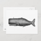 Carte Postale Baleine vintage (Devant / Derrière)