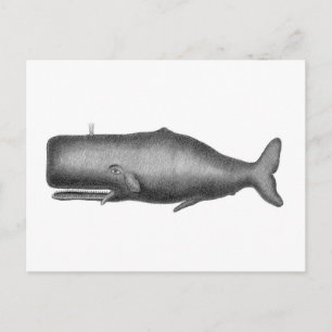 Carte Postale Baleine vintage
