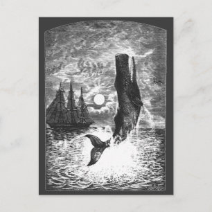 Carte Postale Baleine vintage, Vie Marine Animaux