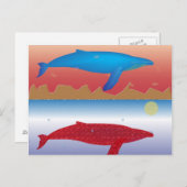 Carte postale baleines (Devant / Derrière)