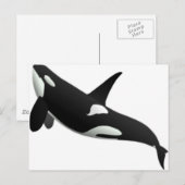 Carte Postale Baleines (Devant / Derrière)