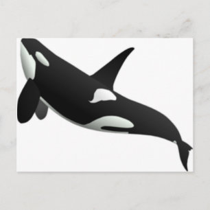 Carte Postale Baleines