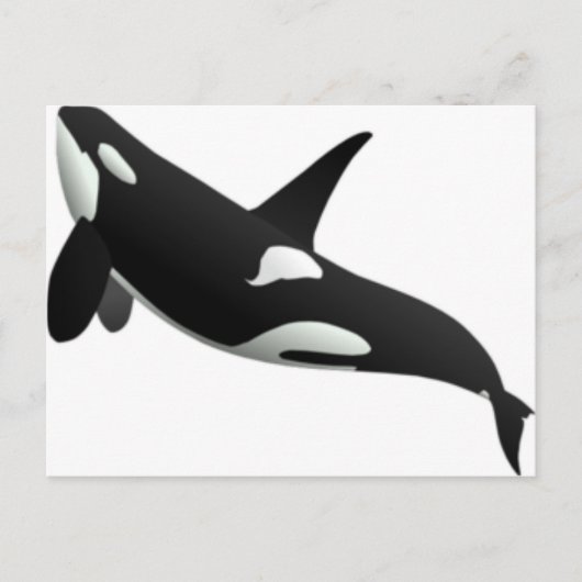 Carte Postale Baleines (Devant)