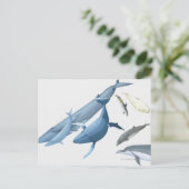 Carte Postale Baleines (Debout devant)