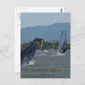 Carte Postale Baleines à bosse repoussées par les Windsurfers (Devant / Derrière)