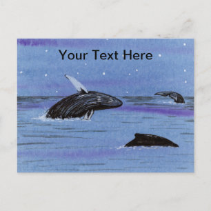 Carte Postale Baleines à bosses