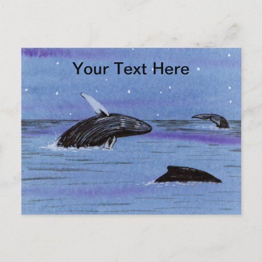 Carte Postale Baleines à bosses (Devant)