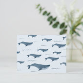 Carte Postale Baleines Bleues Baignant Dans L'Océan (Debout devant)