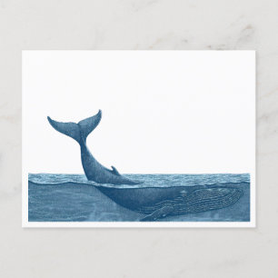 Carte Postale Baleines dans l'océan